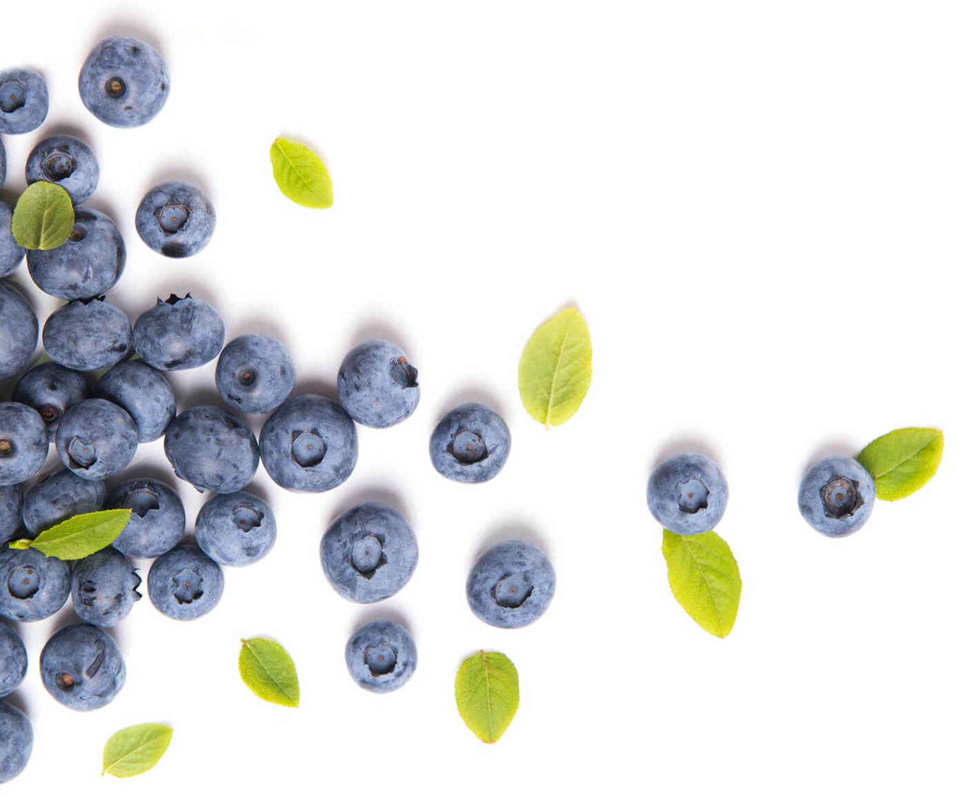 blueberries3 (1)