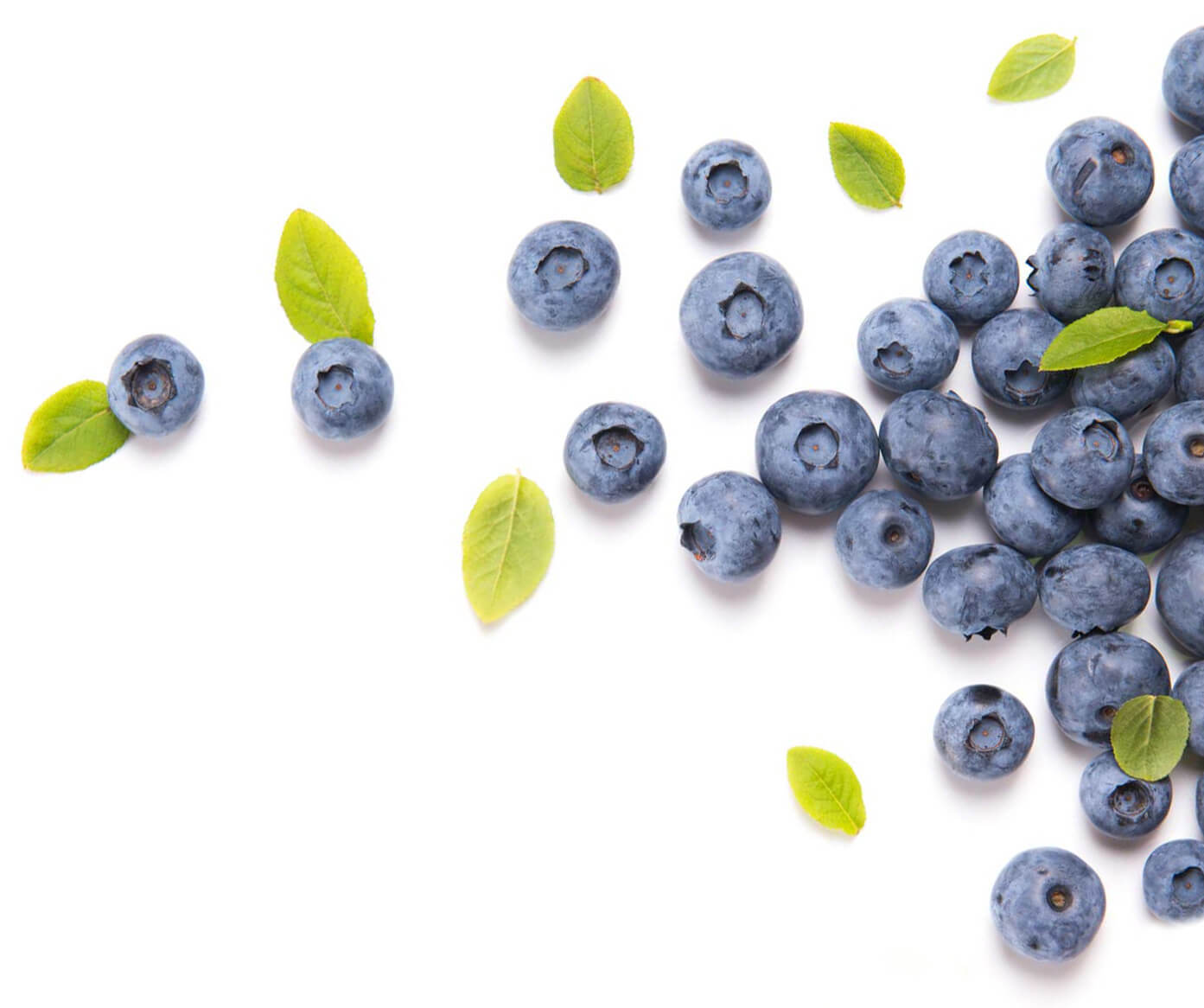 blueberries4 (1)